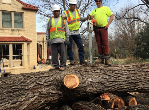 Smith Lawn and Tree team working on a landscape project