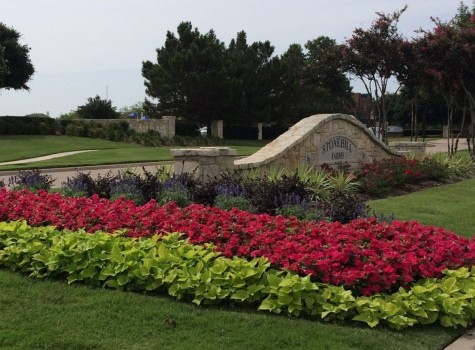 Corporate campus grounds care in Fort Worth