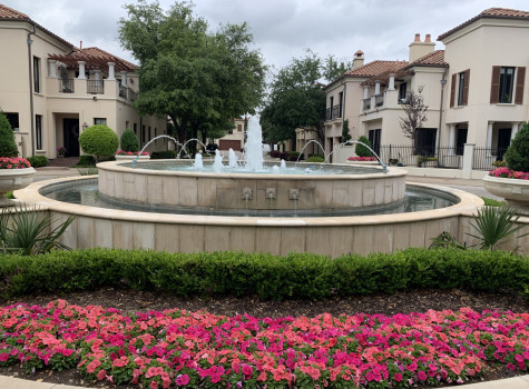 Retail center landscaping in Plano
