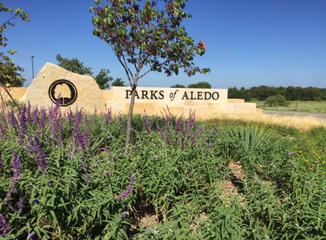 Commercial property entrance landscaping