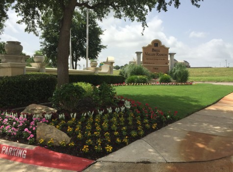 Business complex landscape design in Arlington