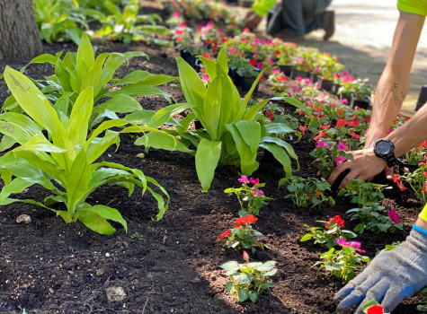 Vaquero Commercial maintenance project