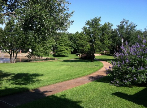 Hotel grounds maintenance in Dallas