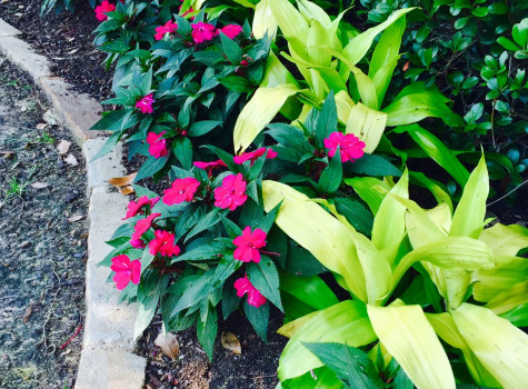 Industrial park landscaping in Fort Worth