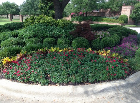 Restaurant patio landscaping in Frisco