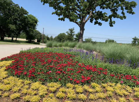 Corporate headquarters landscaping in Irving