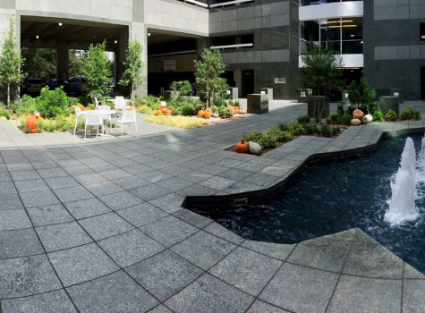 Office building landscape in Lewisville