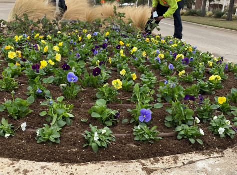 Church grounds maintenance in Denton