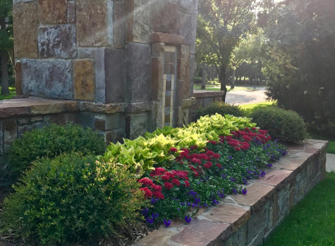 Bank property landscape in Fort Worth