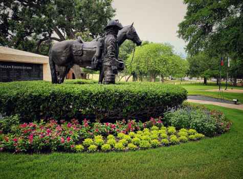 School campus landscape care in Arlington