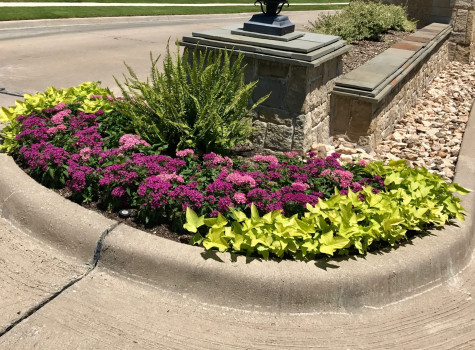 Commercial mulch and bed maintenance in Dallas