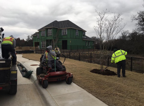 Large-scale commercial landscape project in Dallas-Fort Worth