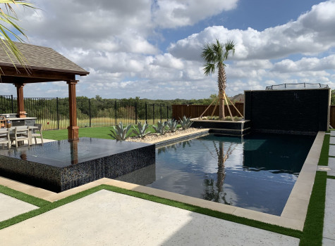 Tree and shrub installation in Plano