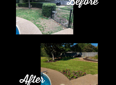 Complete landscape build-out in Arlington