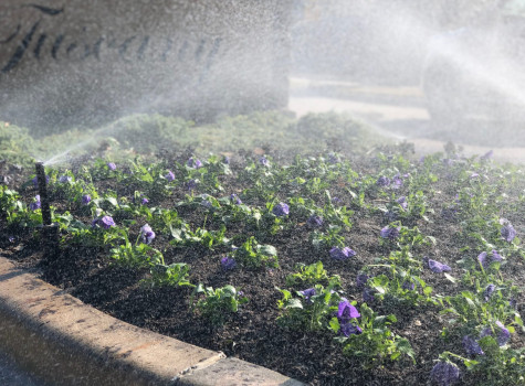 Irrigation system installation in DFW