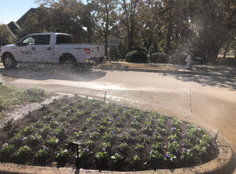 Drip irrigation system in Fort Worth