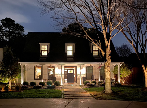 Landscape uplighting and tree lighting in DFW