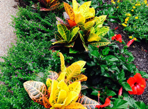 Residential landscaping design in DFW