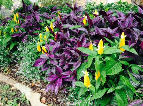 Home garden design in Fort Worth