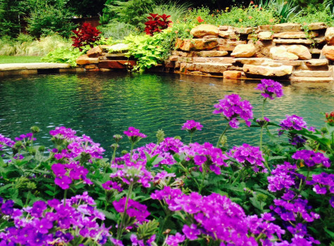 Residential flower bed design in Frisco
