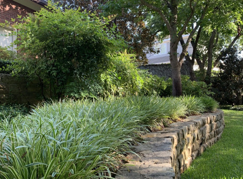 Drought-tolerant residential landscape in McKinney