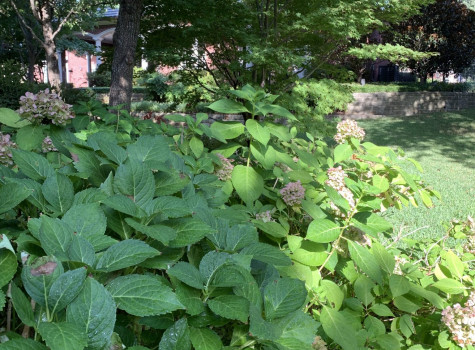 Outdoor living space in Southlake