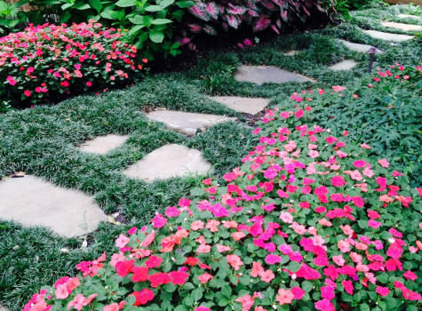 Native Texas plant installation in Allen