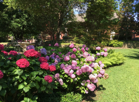 Residential curb appeal makeover in Prosper
