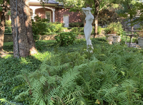 Backyard retreat design in Flower Mound