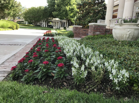 Custom landscape design in Lakewood