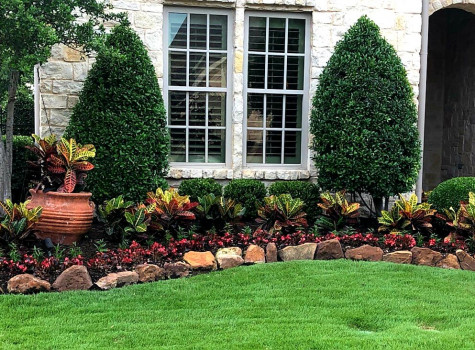 Residential sod installation in Preston Hollow