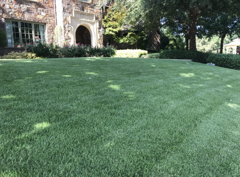 Pool area landscaping in Colleyville
