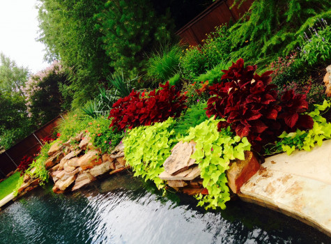 Full residential landscape overhaul in Dallas-Fort Worth