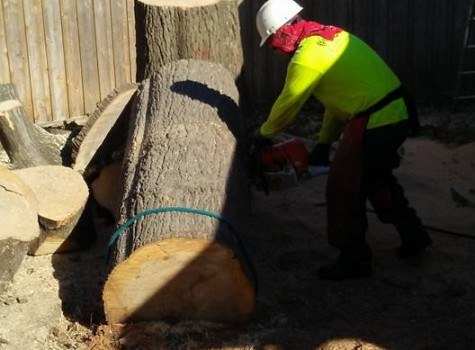 Stump grinding service in DFW