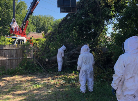 Emergency storm damage tree service in Dallas-Fort Worth